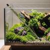 Dtaigou Reptile Corner Branch for Terrarium view 3