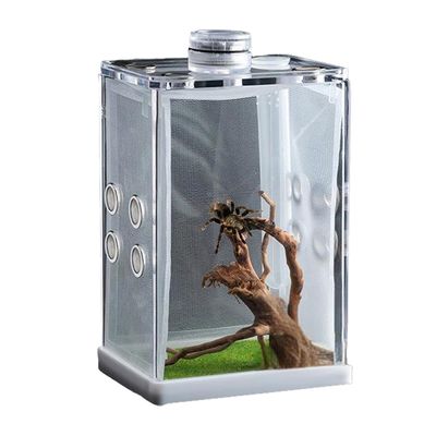 Reptile Hatching Box, Fish Breeding Tank, Spider Cage