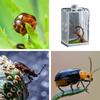 Reptile Hatching Box, Fish Breeding Tank, Spider Cage view 4