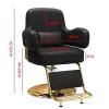 Generic Hydraulic Styling Chair for Home Salons and Professional Use view 2