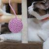 Supvox Jute Rope Cat Toy Ball with Replaceable Tail for Cat Trees view 4