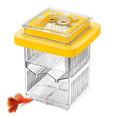 Transparent Aquarium Breeder Box with Divider