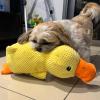 Jubilofex Calming Duck Toy for Dogs view 4