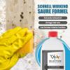 Saltpeter Remover Special Cleaner for Efflorescence and Stubborn Dirt view 4