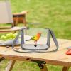 Travel Bird Carrier for Parakeets with Perch view 2