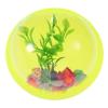Kisangel Wall Aquarium - Acrylic Hydroponic Vase view 1