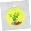 Kisangel Wall Aquarium - Acrylic Hydroponic Vase view 3