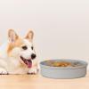 Slow-Feeder Dog Bowl | Dog Bowl with Slow-Feeding Station view 2