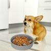 Slow-Feeder Dog Bowl | Dog Bowl with Slow-Feeding Station view 3