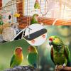 Bird Training Skateboard Toy view 4
