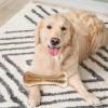 Beef Flavor Puppy Chew Bone view 4
