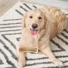 Teething Dog Bone with Beef Flavor view 4