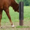 Goat Scratching Post, Gentle Scratching Brush for Rubbing and Itch Relief view 3