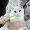 Cat Pill Shooter view 2