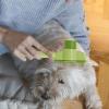 Cat Deshedding Rake Comb with Ergonomic Handle and Click-Cleaning view 2