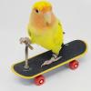 Nixiara Skateboard Bird Toy view 2