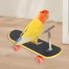 Nixiara Skateboard Bird Toy view 3