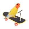 Generic Bird Toy, Training Props | Puzzle Stand Perch Training Skateboard view 1