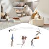 Cat Teaser Toy Set, Retractable Feather Toy, 7-Piece view 4