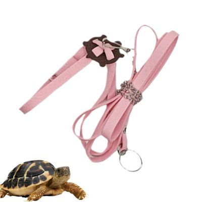 Adjustable Turtle Harness Leash
