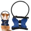 Blind Dog Bumper Harness view 1