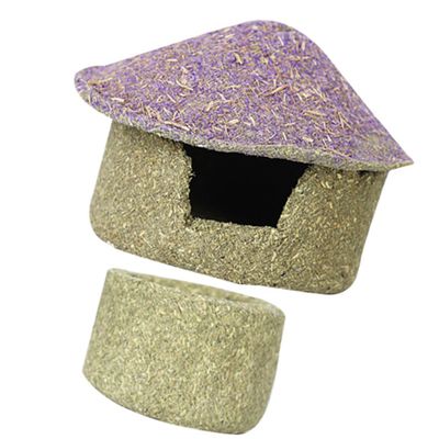 BESPORTBLE Hideout Hut for Guinea Pigs and Hamsters with Chew Toy