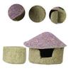 BESPORTBLE Hideout Hut for Guinea Pigs and Hamsters with Chew Toy view 3