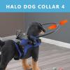 Bumper Ring Harness for Blind Dogs, Comfortable and Adjustable view 2
