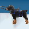 Bumper Ring Harness for Blind Dogs, Comfortable and Adjustable view 3