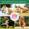 Interactive Dog Jump Ball Toy view 4