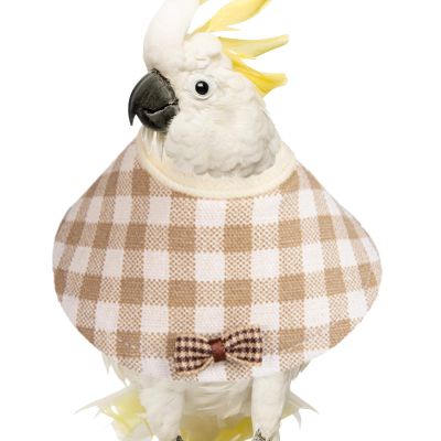 Zunishaone Parrot Anti-Bite Collar