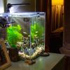 Aquarium Thermometer - Digital Monitor with High Precision view 2