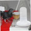 Happyyami Automatic Bird Waterer for Parakeets and Other Birds view 4