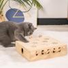 Interactive Cat Hunting Toy view 2