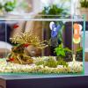 Suction Cup Clip for Aquariums and Aquatic Plants view 4