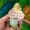 Pet Parrot Anti-Bite Collar view 2