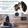 EDANTI Dog Bed Mat for Small to Large Dogs (Brown with Gold Bones, 70x50 cm) view 2