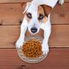 Dog Treat Mat | Non-Slip Cartoon Lick Pad view 2
