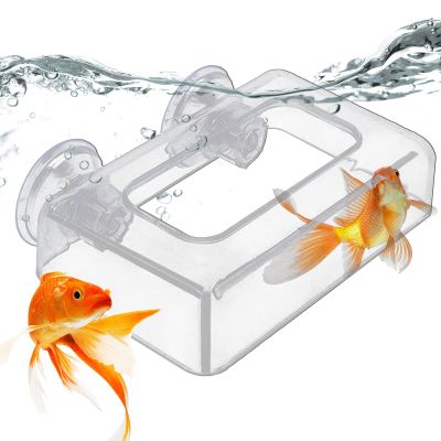 AlpenLife Basics Fish Food Dispenser - User-Friendly Acrylic Feeder