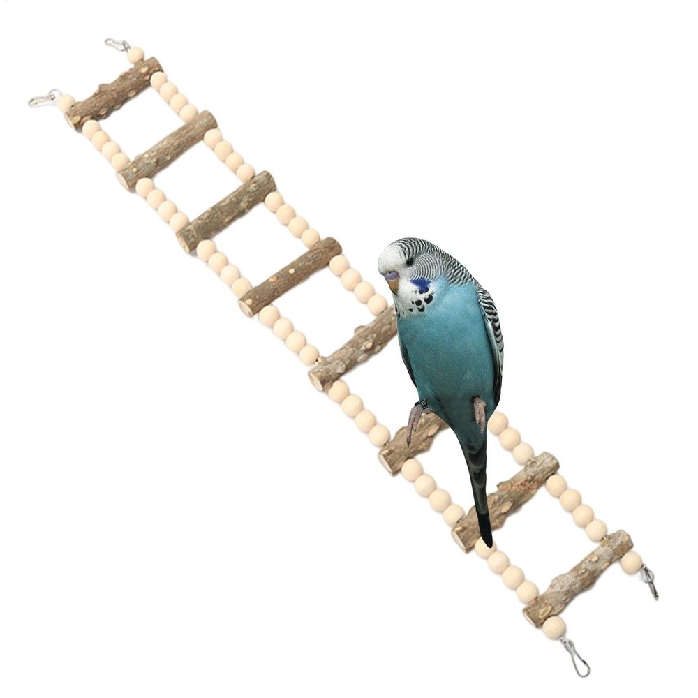 Bird Swing Ladder for Parakeets