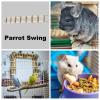 Bird Swing Ladder for Parakeets view 2