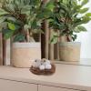 Happyyami Bird Nest Decor with Artificial Eggs and Birds, Moss-Look Ornament for Indoor and Outdoor Use view 4