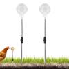 Chicken Pecking Toy, Fun Feeding Utensil view 1