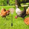 Chicken Pecking Toy, Fun Feeding Utensil view 3