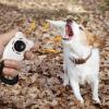 Dog Training Clicker with Wrist Strap view 2