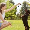 Pet Clicker Training Tool view 2