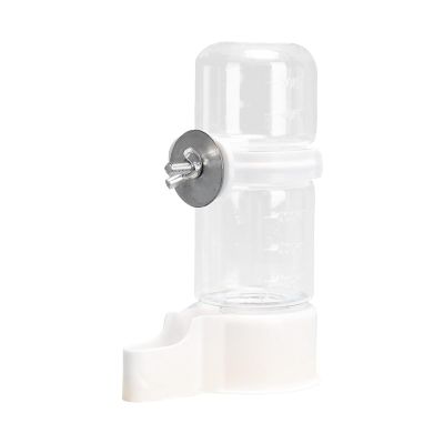 Bird Water Dispenser & Feeder