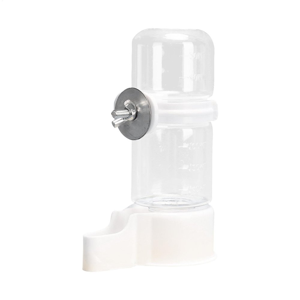 Bird Water Dispenser & Feeder