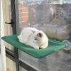 Windowsill Kitty Lounge - Cat Hammock Stand view 2