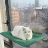 Windowsill Kitty Lounge - Cat Hammock Stand view 3